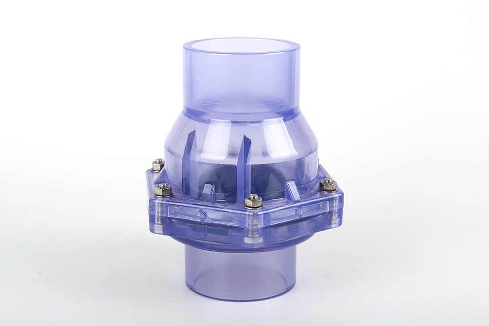 容县透明翻板式止回阀